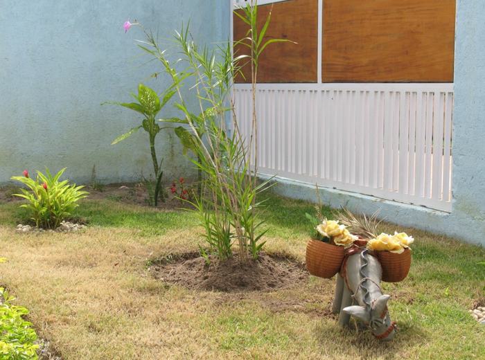 Paisagismo e jardim da área externa